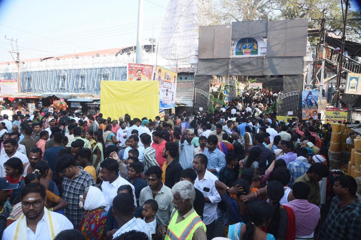 Maha Shivaratri 2024 Devotees At Vemulawada Temple Photos - Sakshi19