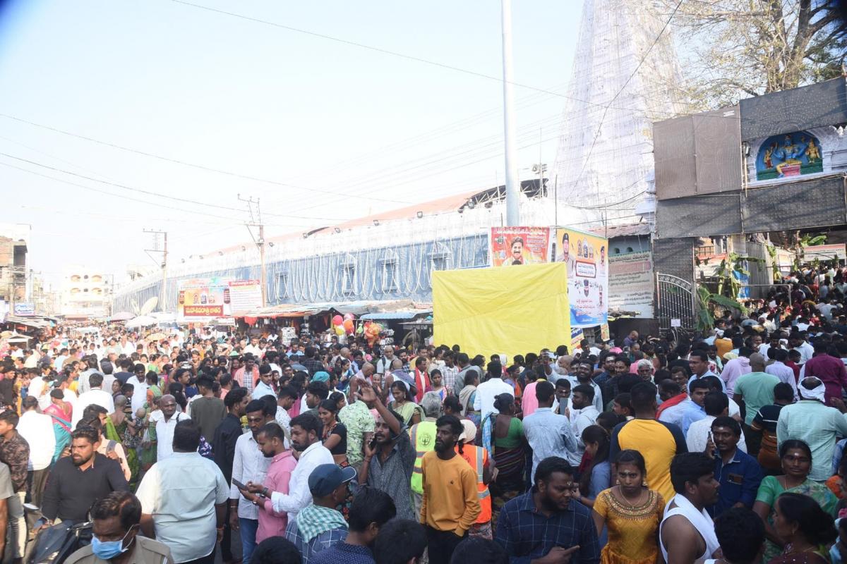 Maha Shivaratri 2024 Devotees At Vemulawada Temple Photos - Sakshi20