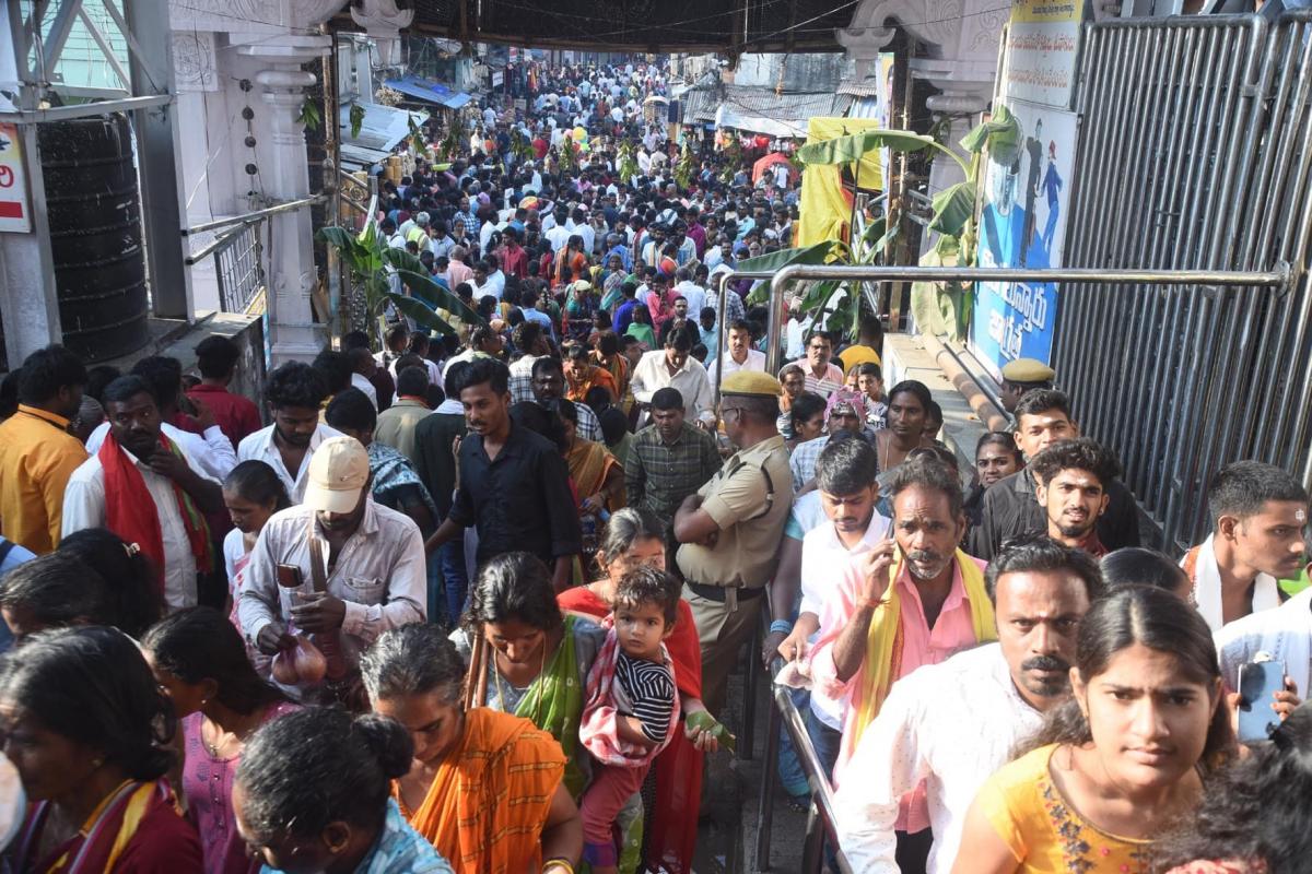 Maha Shivaratri 2024 Devotees At Vemulawada Temple Photos - Sakshi21