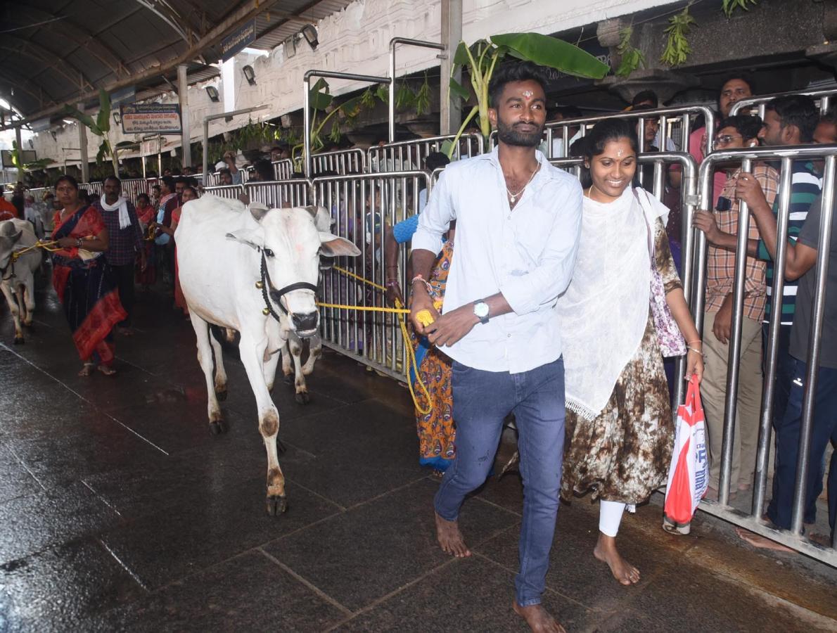 Maha Shivaratri 2024 Devotees At Vemulawada Temple Photos - Sakshi24