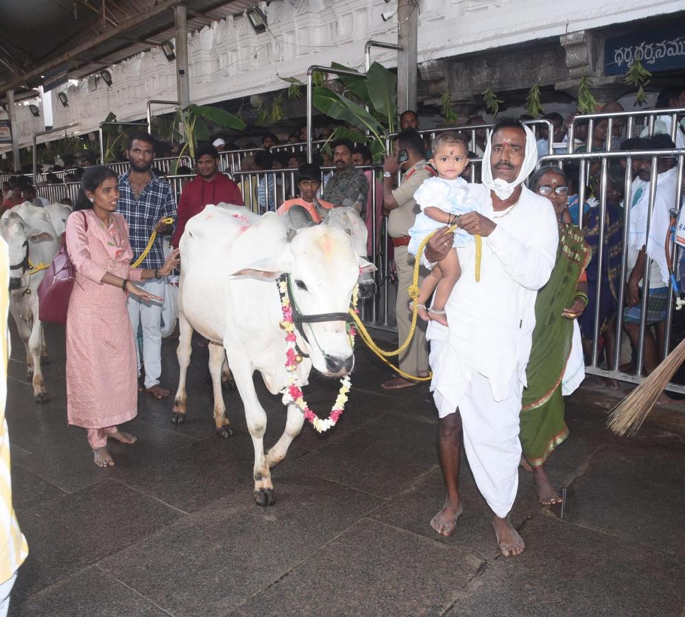 Maha Shivaratri 2024 Devotees At Vemulawada Temple Photos - Sakshi25