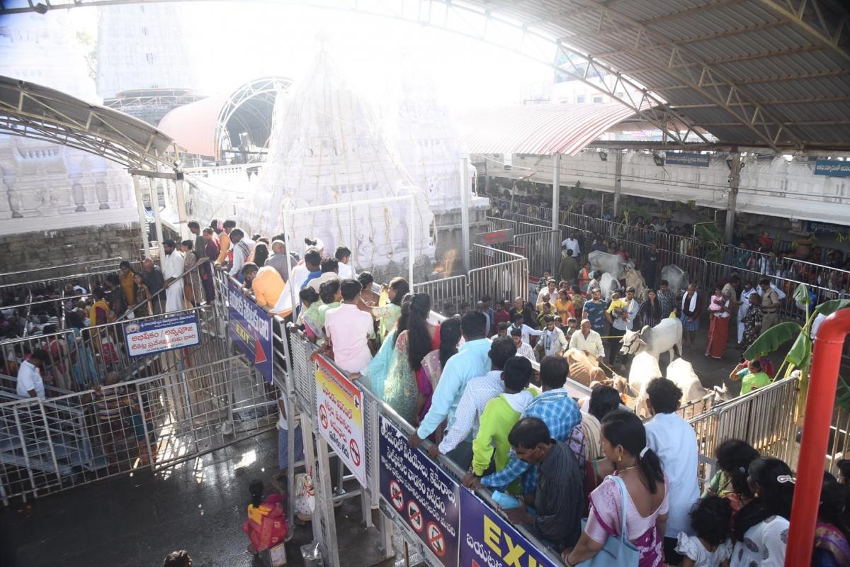 Maha Shivaratri 2024 Devotees At Vemulawada Temple Photos - Sakshi27