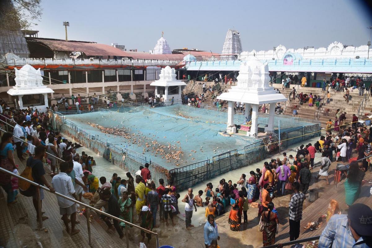 Maha Shivaratri 2024 Devotees At Vemulawada Temple Photos - Sakshi29