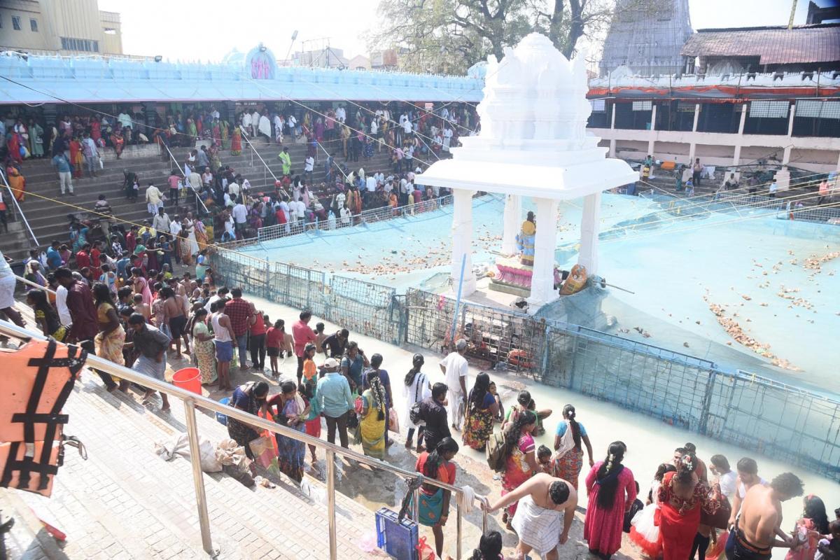 Maha Shivaratri 2024 Devotees At Vemulawada Temple Photos - Sakshi31