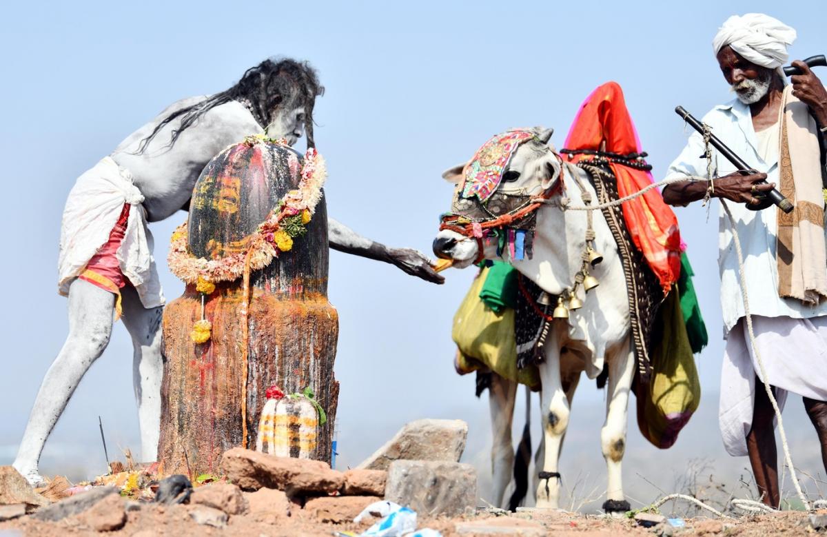 Maha Shivratri Celebrations 2024 At Keesaragutta Temple Photos - Sakshi32