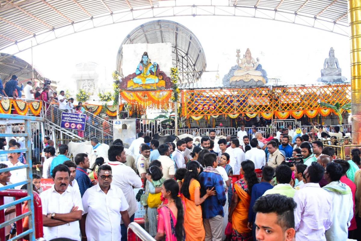 Maha Shivaratri 2024 Devotees At Vemulawada Temple Photos - Sakshi47