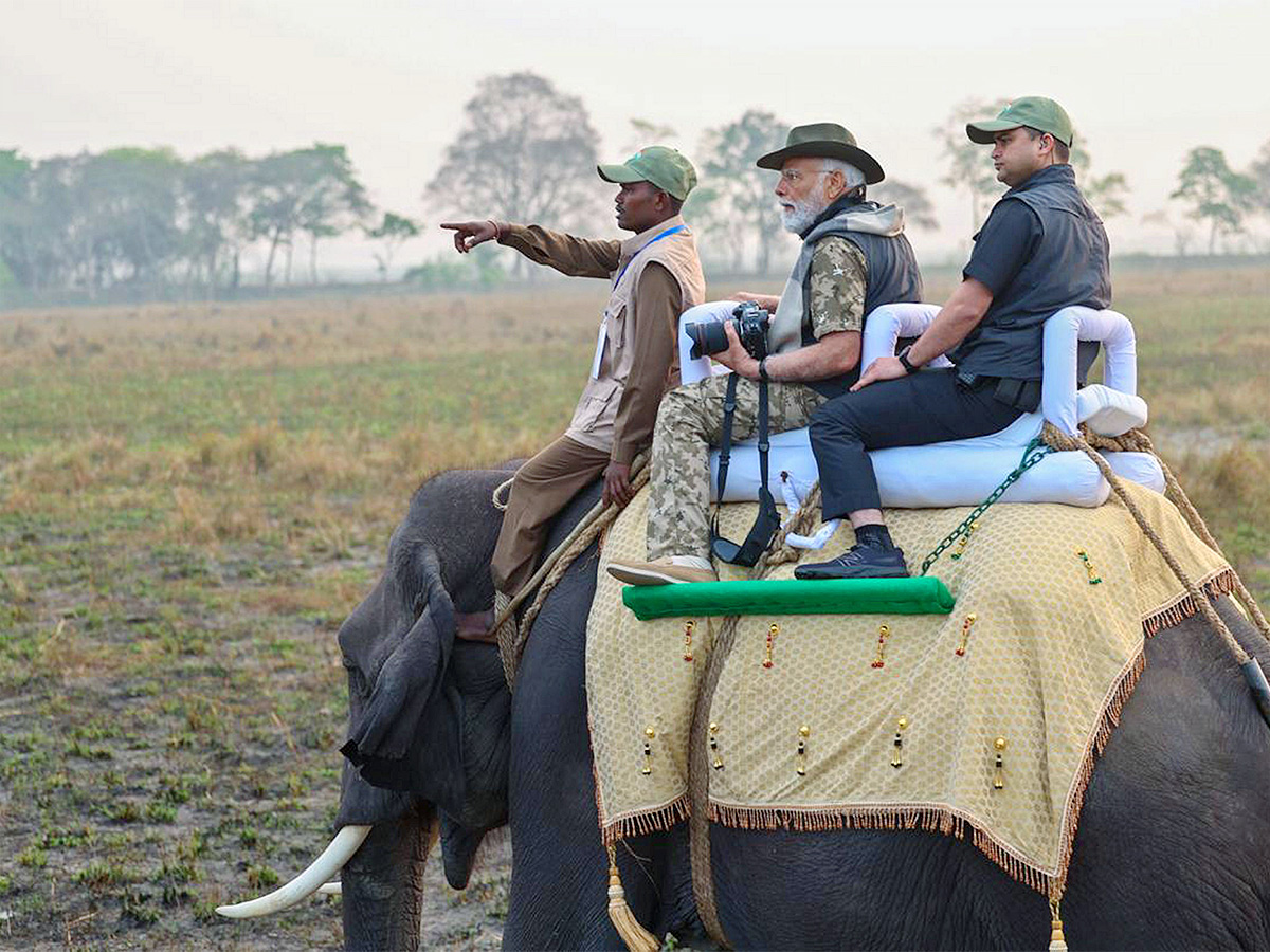 PM Modi Elephant Safari at Assam Kaziranga National Park - Sakshi1