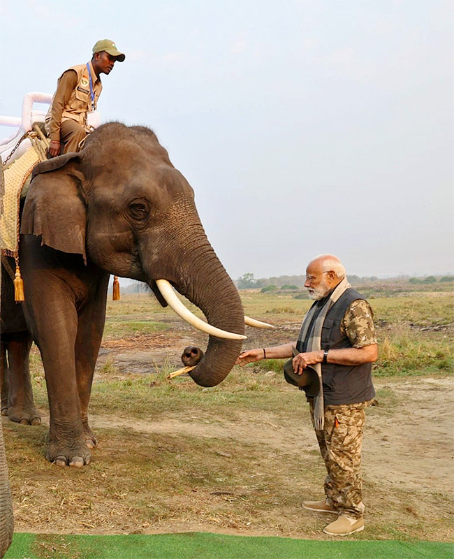 PM Modi Elephant Safari at Assam Kaziranga National Park - Sakshi11