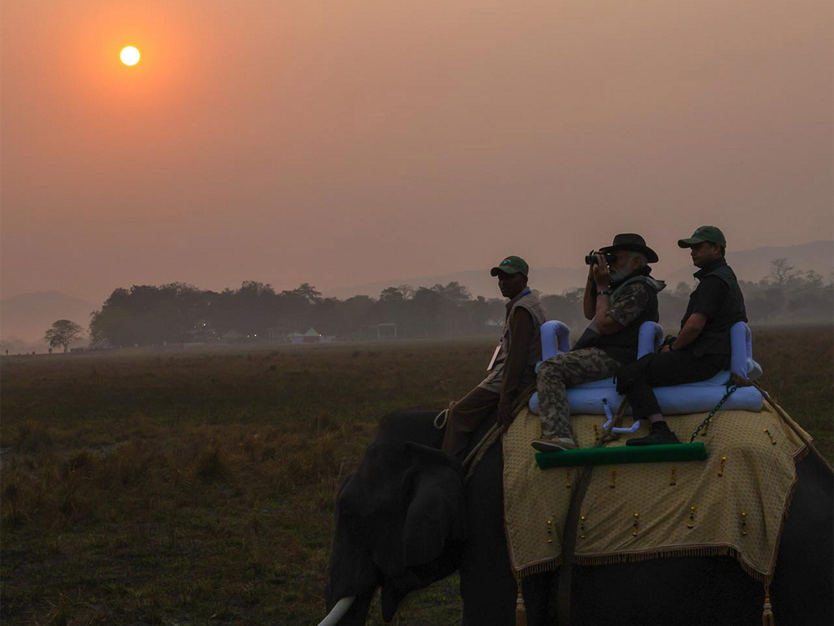 PM Modi Elephant Safari at Assam Kaziranga National Park - Sakshi12