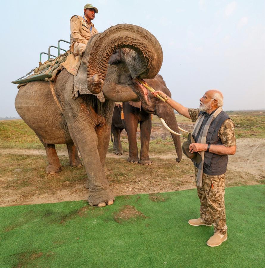 PM Modi Elephant Safari at Assam Kaziranga National Park - Sakshi19