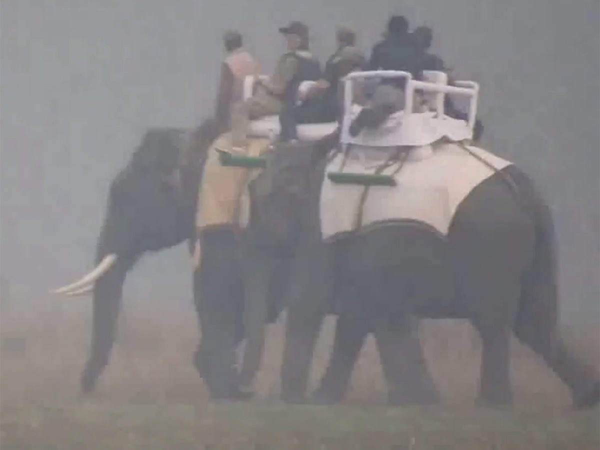 PM Modi Elephant Safari at Assam Kaziranga National Park - Sakshi22