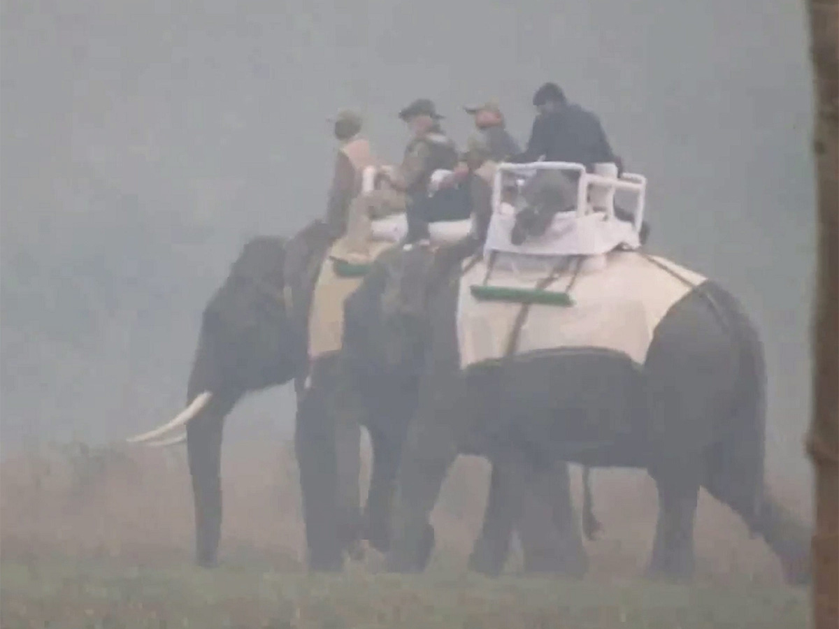 PM Modi Elephant Safari at Assam Kaziranga National Park - Sakshi23