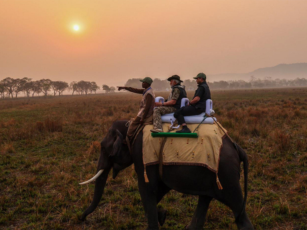 PM Modi Elephant Safari at Assam Kaziranga National Park - Sakshi3