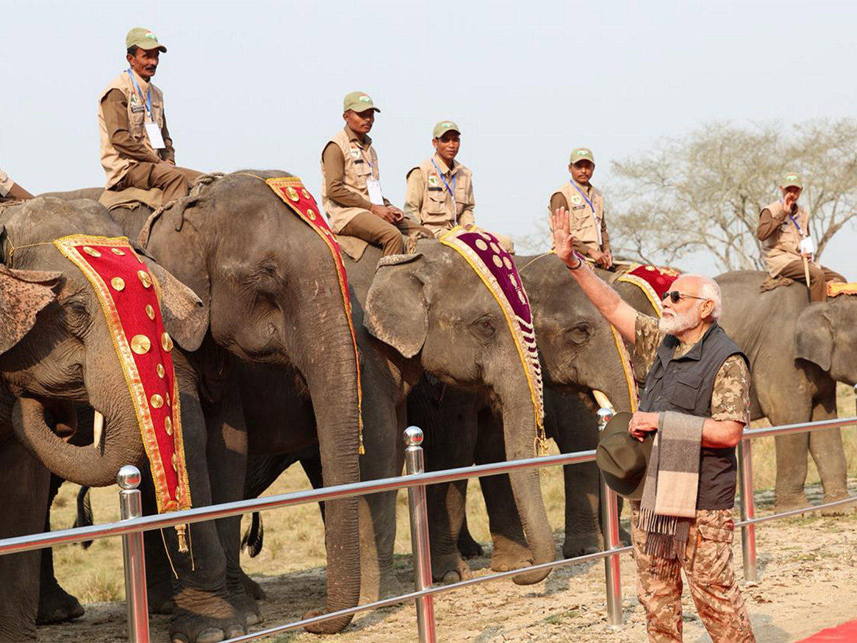 PM Modi Elephant Safari at Assam Kaziranga National Park - Sakshi6