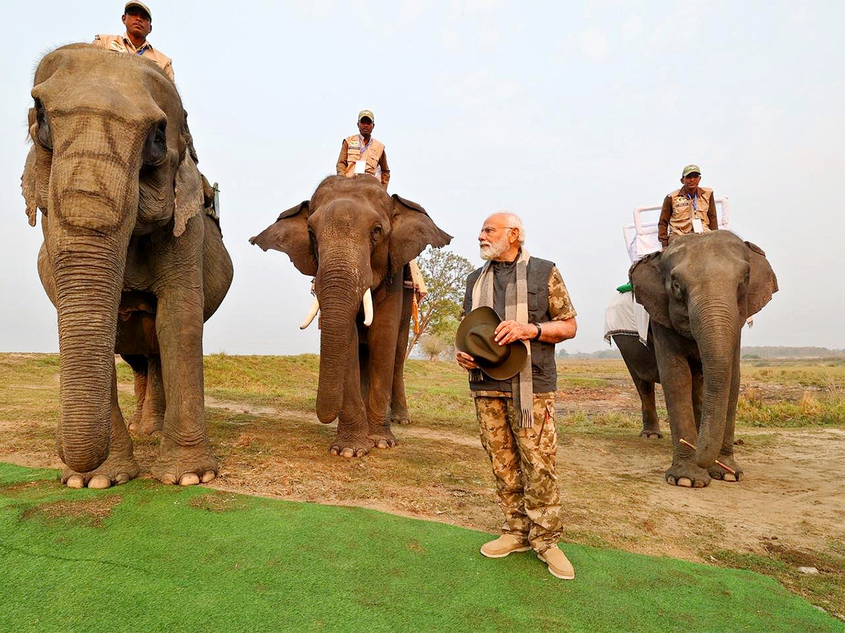 PM Modi Elephant Safari at Assam Kaziranga National Park - Sakshi7