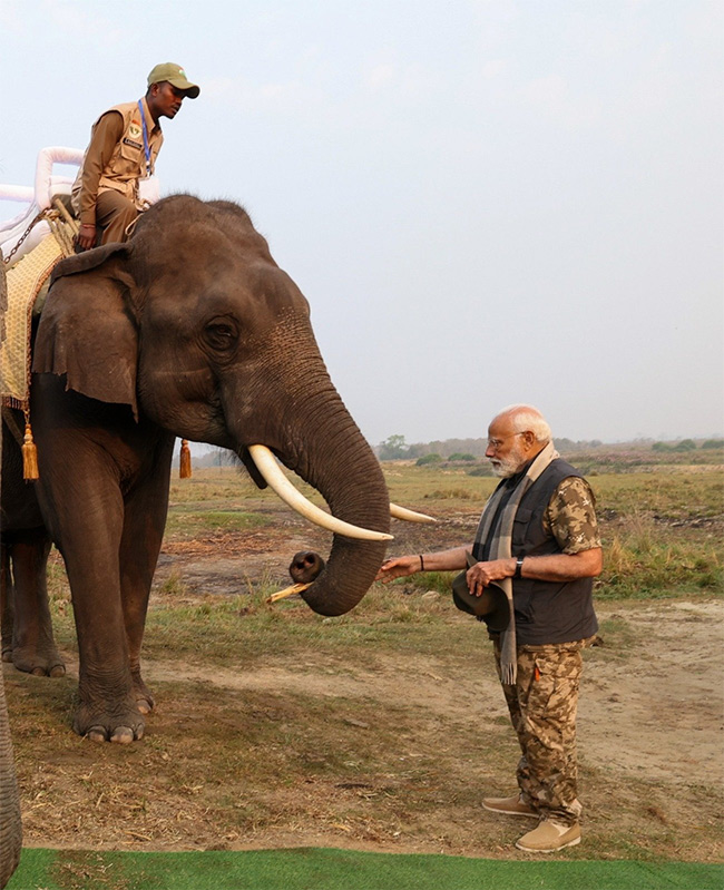 PM Modi Elephant Safari at Assam Kaziranga National Park - Sakshi8