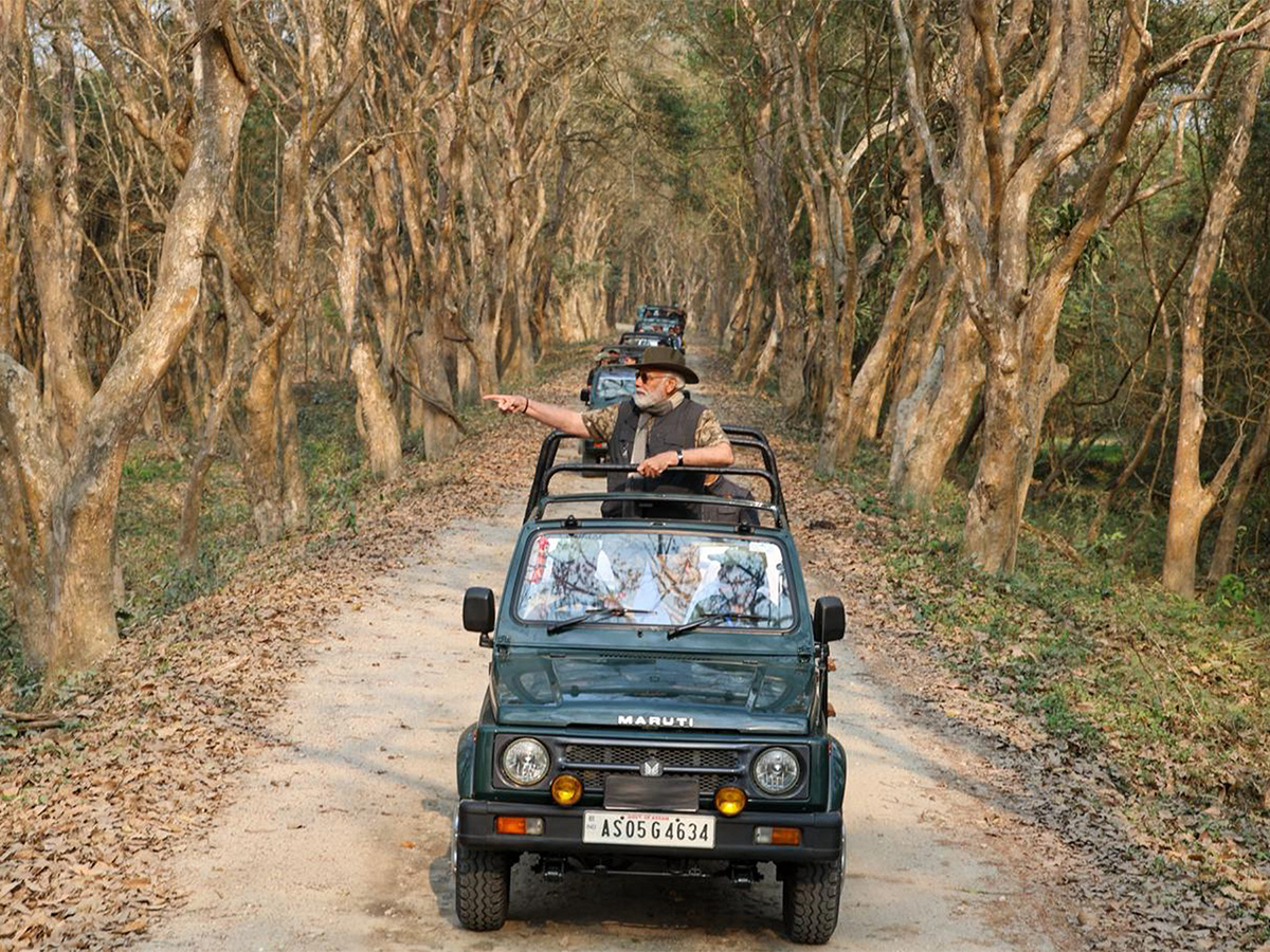 PM Modi Elephant Safari at Assam Kaziranga National Park - Sakshi9