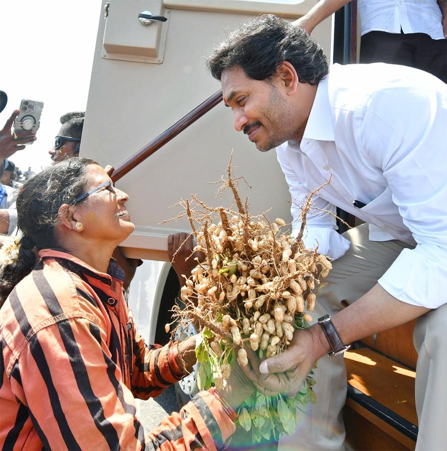 AP CM YS Jagan Road Show at Bathalapalli Photos - Sakshi14