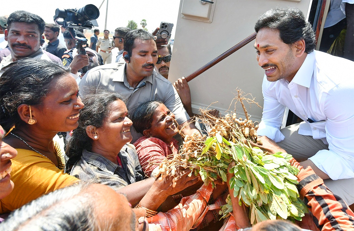 AP CM YS Jagan Road Show at Bathalapalli Photos - Sakshi15