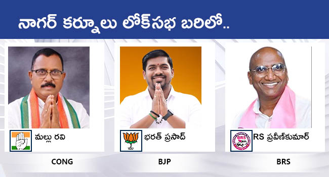 Lok Sabha Elections 2024 Telangana All MP Candidates District Wise List With Photos Gallery - Sakshi12