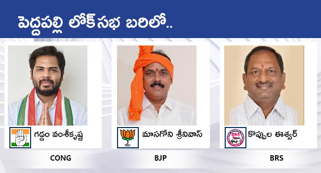 Lok Sabha Elections 2024 Telangana All MP Candidates District Wise List With Photos Gallery - Sakshi2