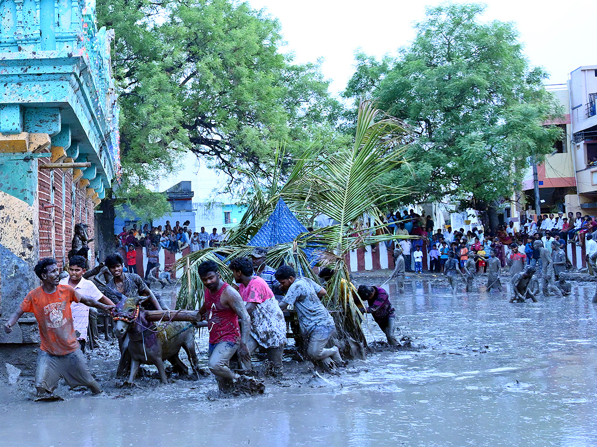 Pidakala Samaram Festival In Kairuppala Photo Gallery  - Sakshi24