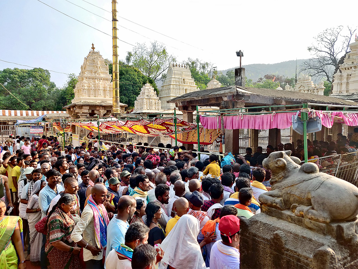 Ugadhi Festival Celebrations in Srisailam - Sakshi10