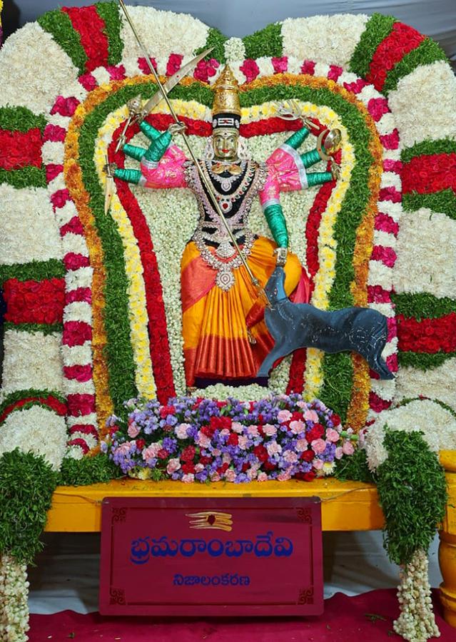 Ugadhi Festival Celebrations in Srisailam - Sakshi19