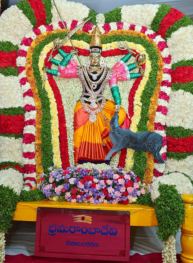 Ugadhi Festival Celebrations in Srisailam - Sakshi20