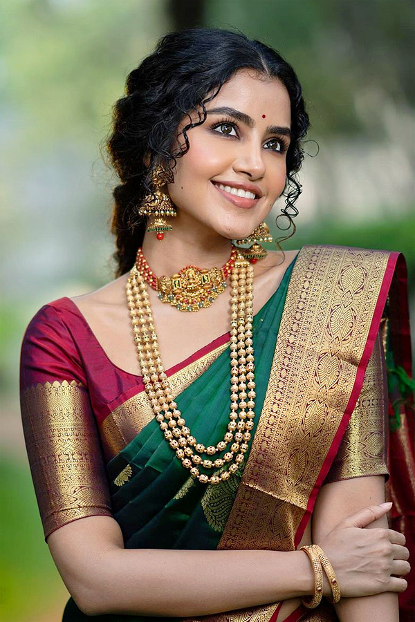 Anupama Parameswaran saree look Photos - Sakshi12