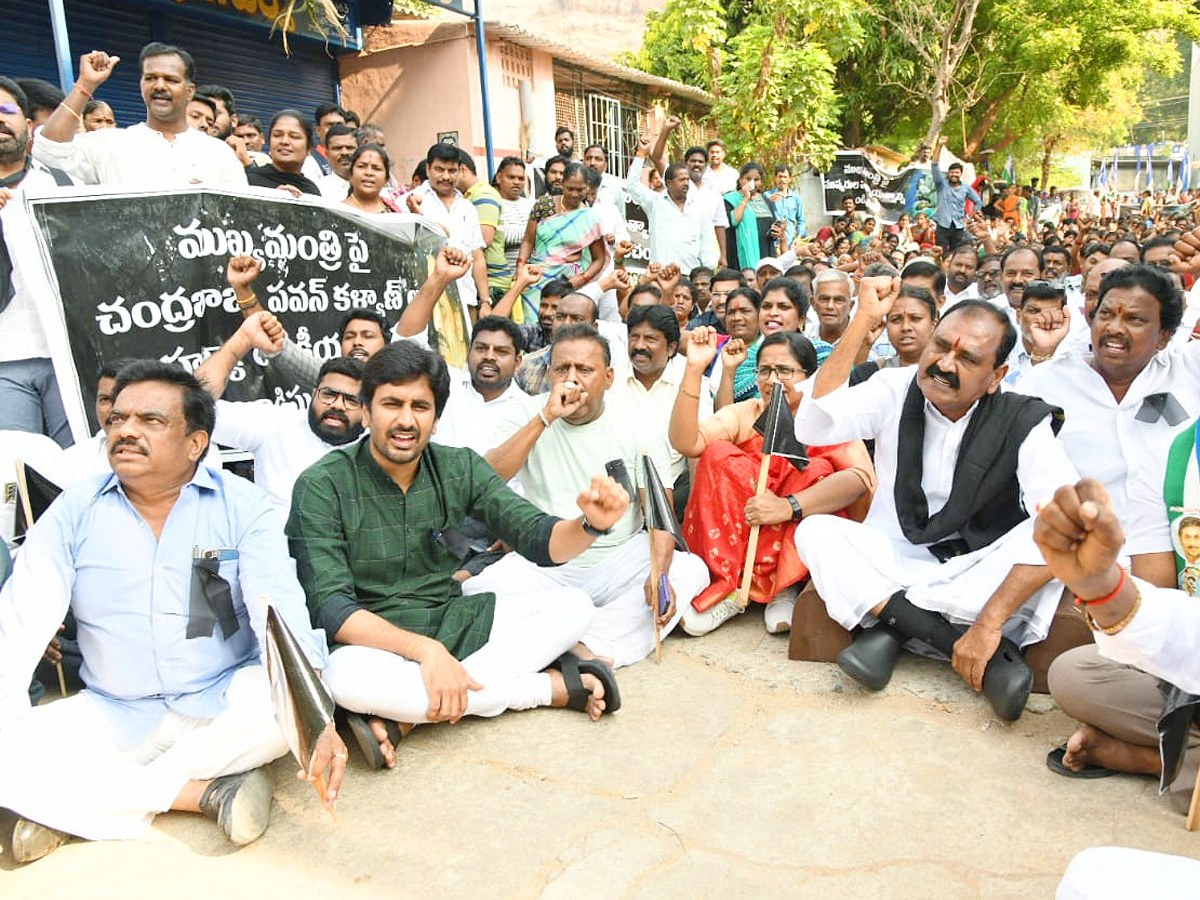 Protests against the Attack On CM Jagan Photos - Sakshi8