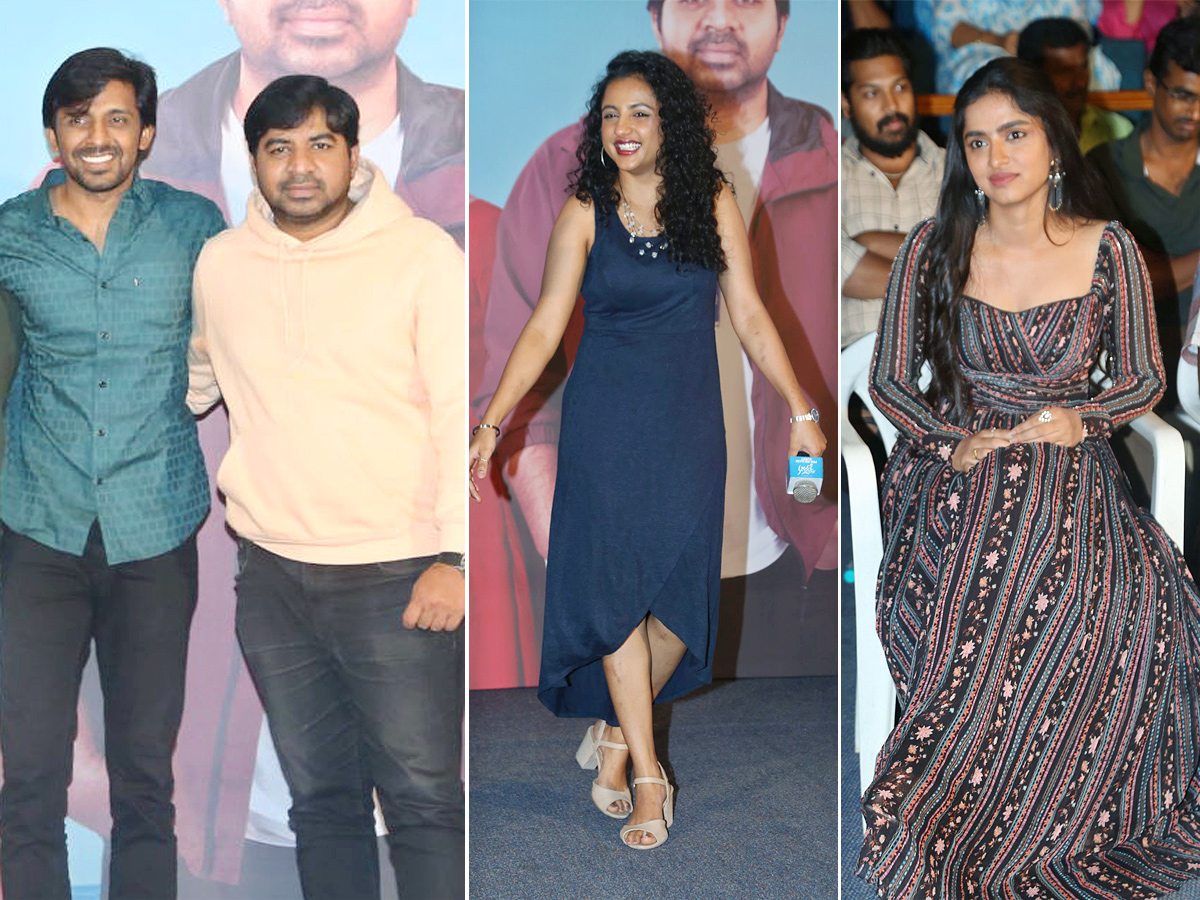 My Dear Donga Movie Pre Release Photos - Sakshi1