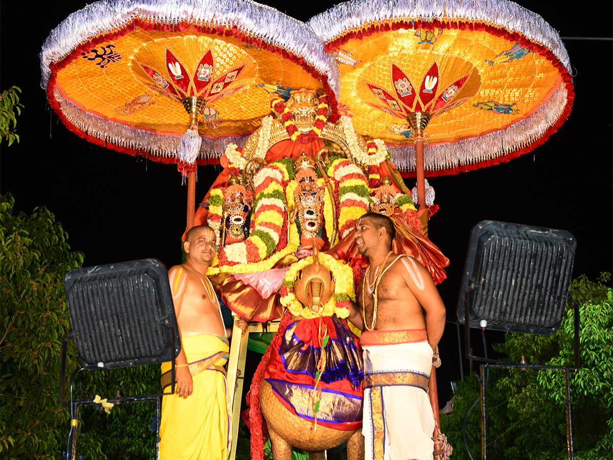 Annual Brahmotsavams of Vontimitta Kodandarama Swamy  - Sakshi2