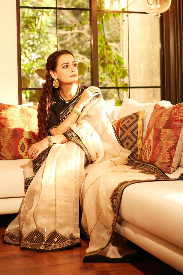 Dia Mirza Rekhi Shines Like A Queen In White Saree - Sakshi8