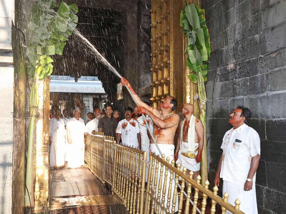 Koil Alwar Tirumanjanam held at Tirumala temple as prelude to Ugadi - Sakshi7