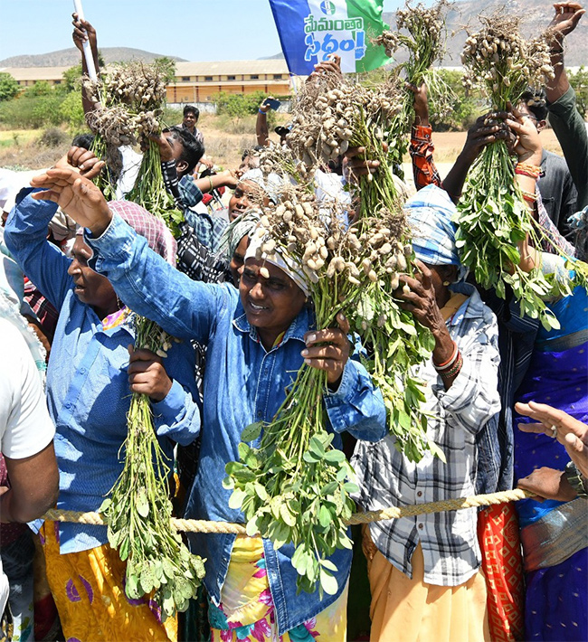 Memantha Siddham cm jagan Bus Yatra Day 8 Photos - Sakshi6