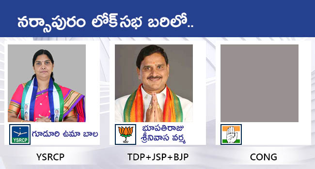 Lok Sabha Elections 2024 AP All MP Candidates District Wise List With Photos Gallery - Sakshi15