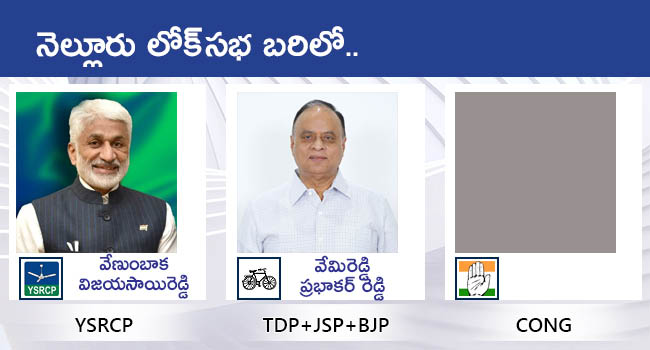 Lok Sabha Elections 2024 AP All MP Candidates District Wise List With Photos Gallery - Sakshi17