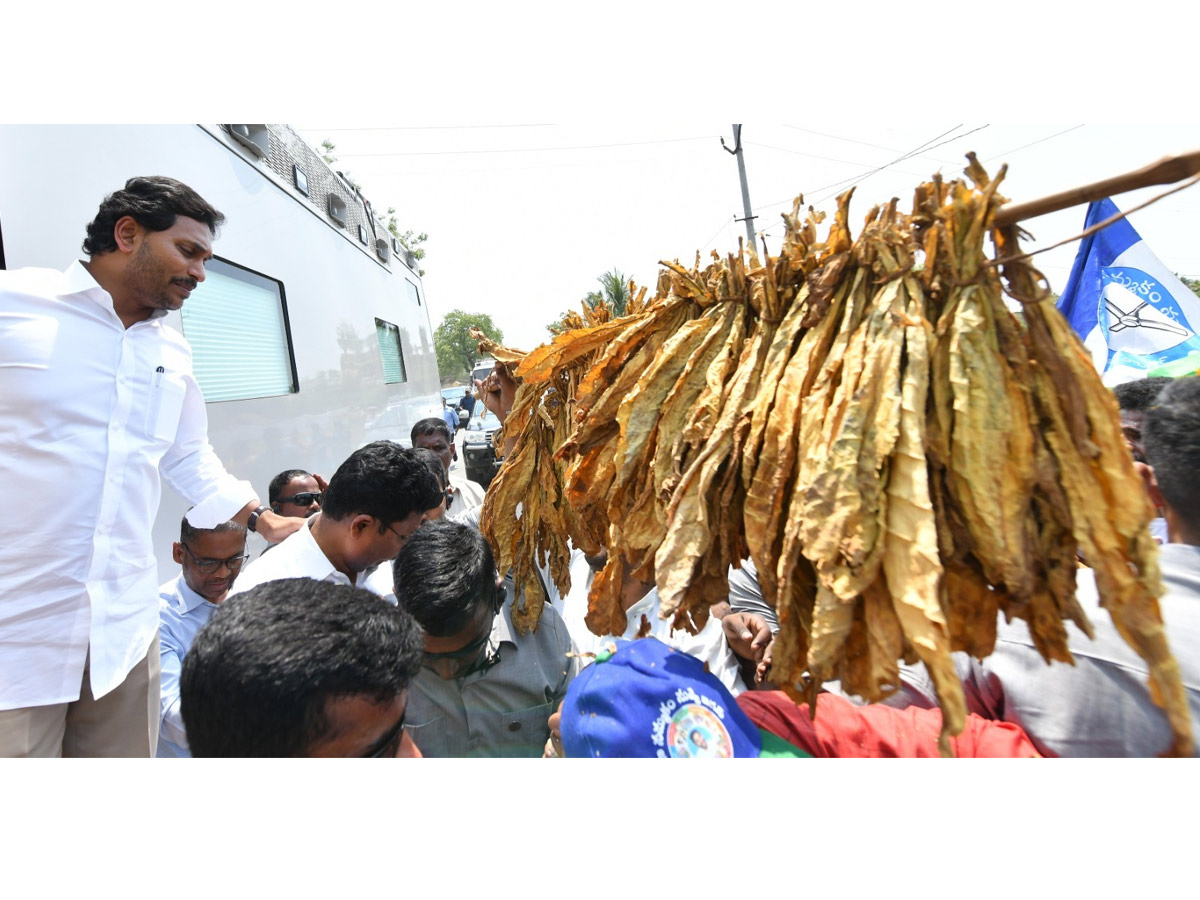 CM YS Jagan Memantha Siddham Bus Yatra in Prakasam District Photos - Sakshi22