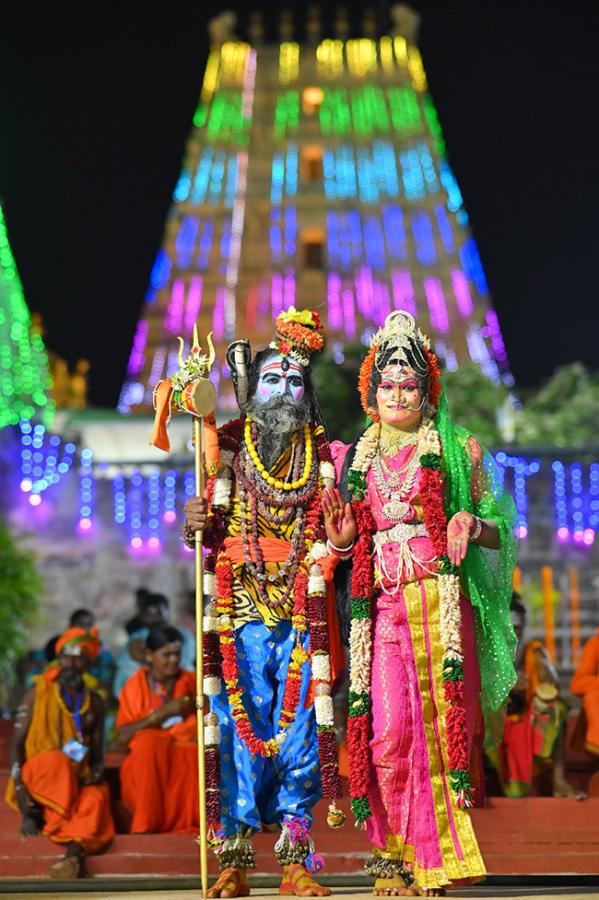 ugadi 2024 celebration at Srisailam Temple - Sakshi16