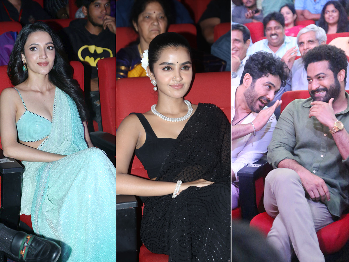 Photos : Tillu Square Movie Success Meet  - Sakshi1