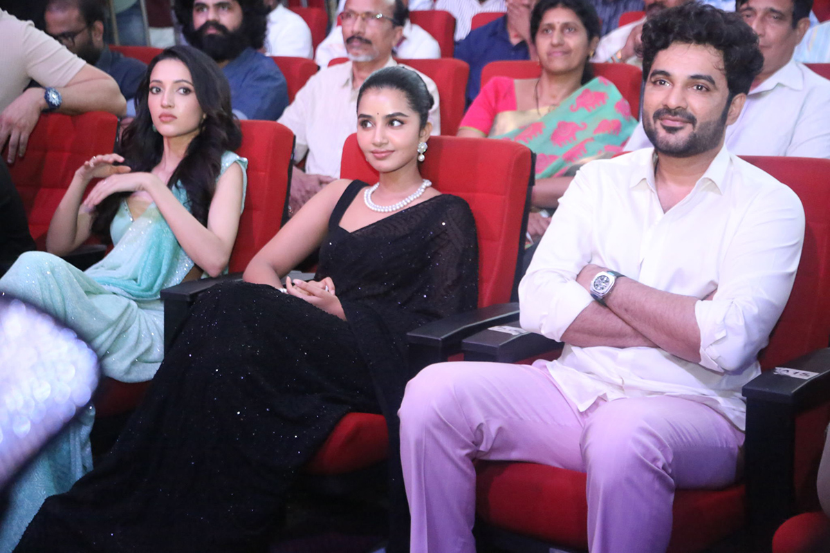 Photos : Tillu Square Movie Success Meet  - Sakshi11