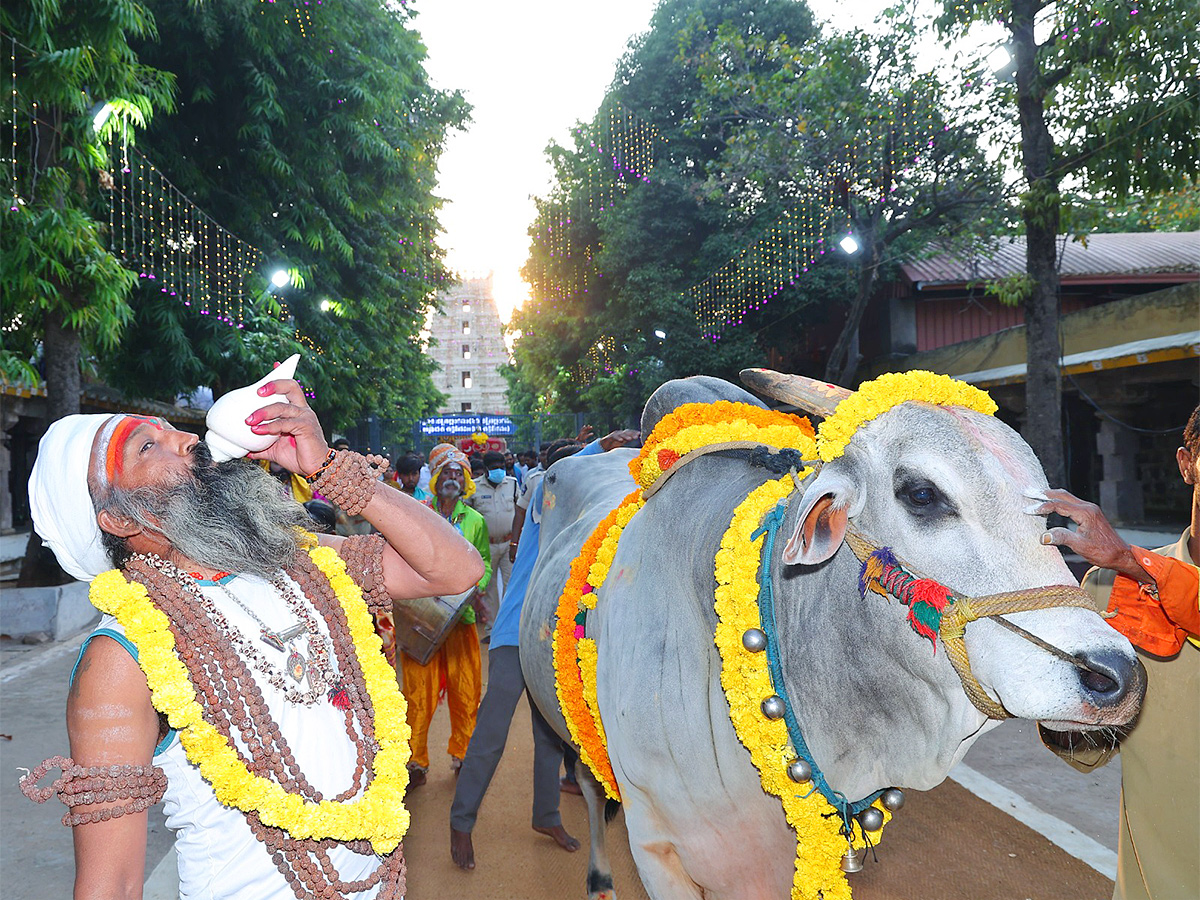 Ugadi 2024 Celebration at srisailam temple Photos - Sakshi20