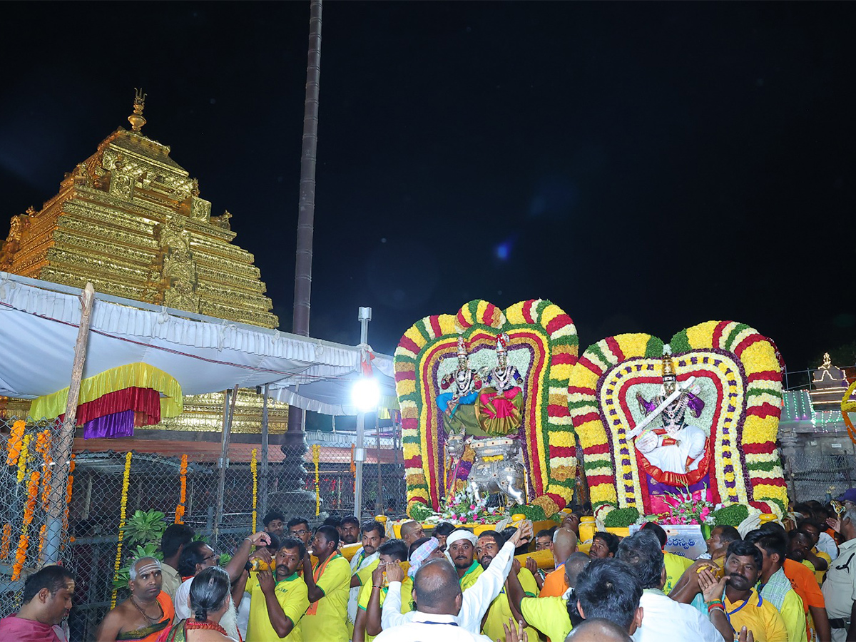 Ugadi 2024 Celebration at srisailam temple Photos - Sakshi29