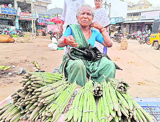 18 నుంచి వేంకటేశ్వర స్వామి బ్రహ్మోత్సవాలు 2