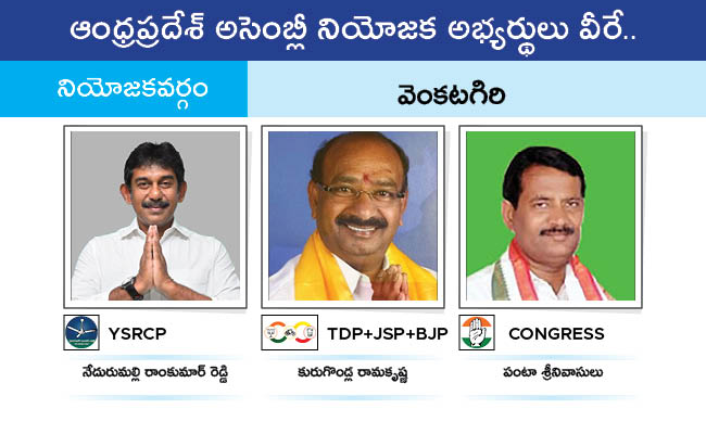 Who Will Win In Which Constituency In Andhra Pradesh Assembly Elections 2024 Results On June 4th113