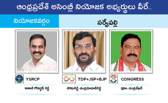 Who Will Win In Which Constituency In Andhra Pradesh Assembly Elections 2024 Results On June 4th114