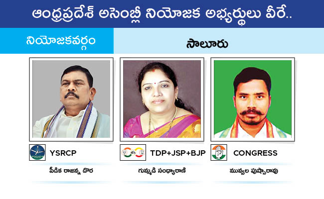 Who Will Win In Which Constituency In Andhra Pradesh Assembly Elections 2024 Results On June 4th13