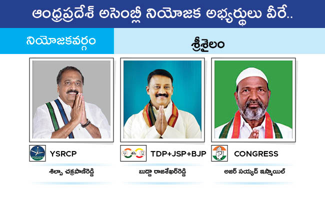 Who Will Win In Which Constituency In Andhra Pradesh Assembly Elections 2024 Results On June 4th137