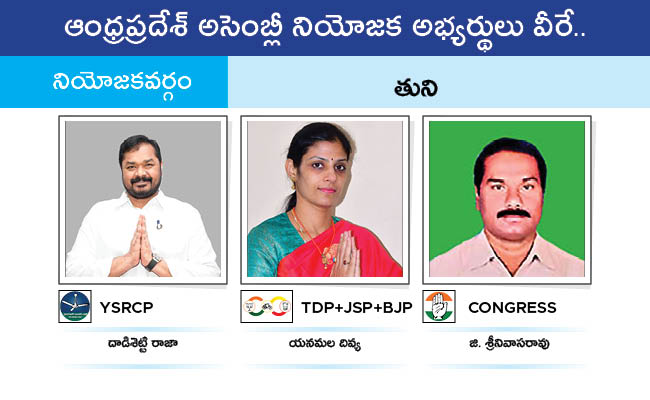 Who Will Win In Which Constituency In Andhra Pradesh Assembly Elections 2024 Results On June 4th41